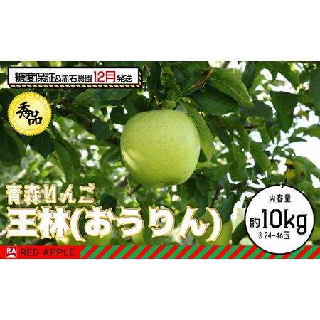 ふるさと納税 13度糖度保証 秀品 王林 約10kg 青森県弘前市