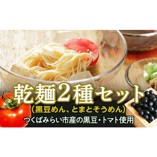 ふるさと納税 茨城県 つくばみらい市 乾麺２種 セット