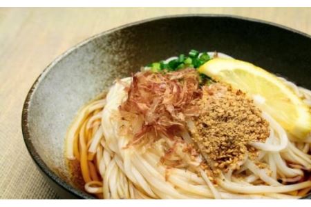 さっとできてさっと食べられる ささっとうどん 10入 (H014116)