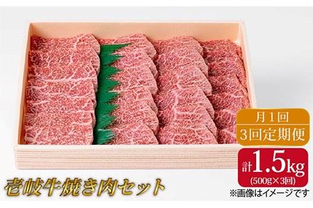 お肉 壱岐牛 焼き肉セット 500g 《 壱岐市 》 [JCG054] 51000 51000円