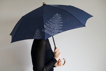 陽傘、蕨類植物、手繪畫