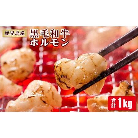 ふるさと納税 鹿児島産黒毛和牛ホルモン 合計1kg [200g×5袋] 鹿児島県大崎町