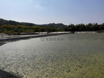 美濃面臨8米龍東街鄉道風景漂亮農地02892｜高雄市美濃區龍東段