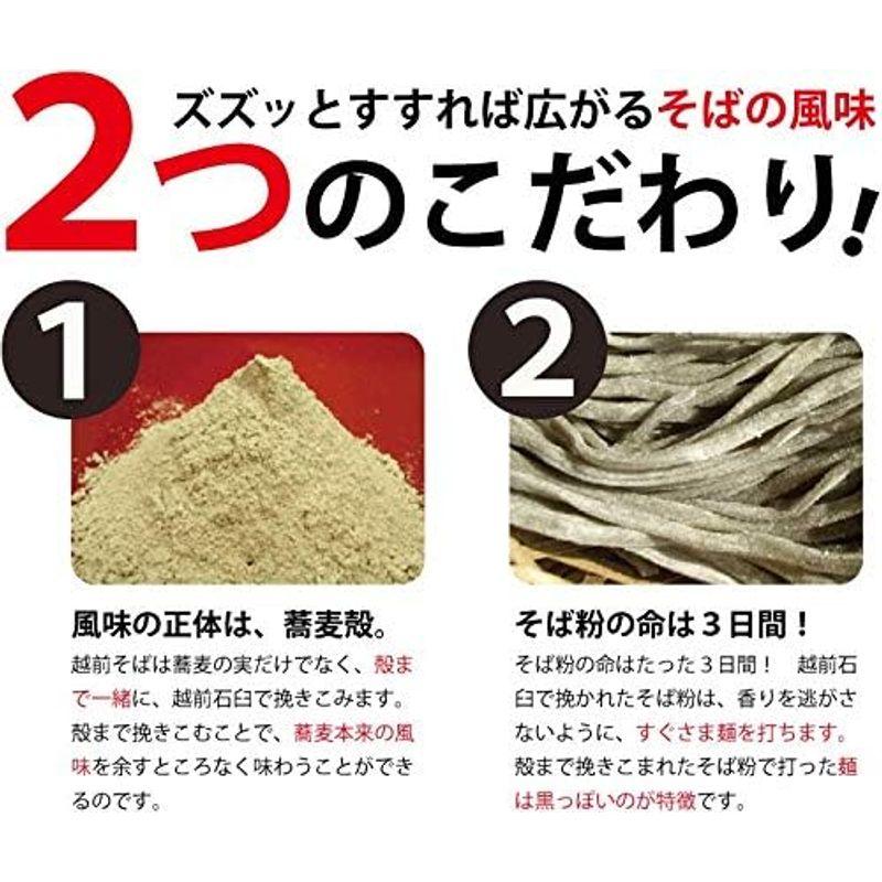 おろし蕎麦 セット 越前そば 10食 (2食入×5袋) セット つゆ 付き 冷蔵 年越し蕎麦 そば 業務用 蕎麦 日本そば ソバ 大容量 ま