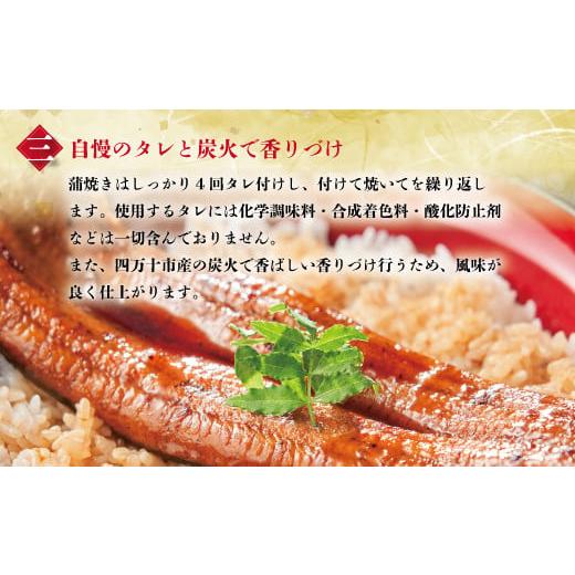 ふるさと納税 高知県 四万十市 R5-361N．＜四万十食品＞うなぎ蒲焼　ハーフ6袋／ＣＤ