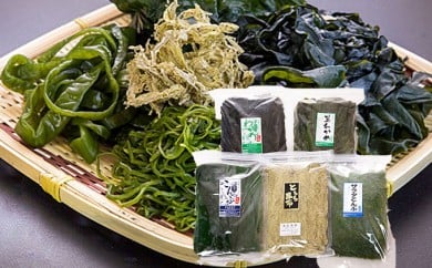 石巻市十三浜産・潮騒（わかめ・こんぶ）セット