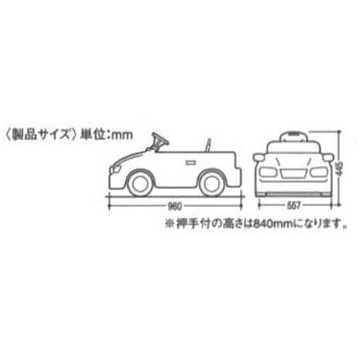 ミズタニ カルソニックスカイライン GT-R CR34-H 車 乗用 乗り物