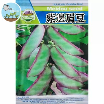 【原廠包裝】紫邊眉豆種子（Purple edged eyebrow beans）爬藤觀賞食用豆 迷你扁豆 紫色邊條好種植
