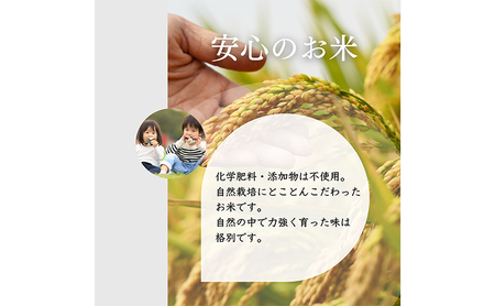 令和5年 長野県産 ミルキークイーン、いのちの壱　食べ比べセット（5キロ×2袋・無洗米）