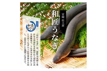 宮崎市佐土原産 備長炭手焼き 和匠うな丼の素10袋入り(計1kg) 山椒付き