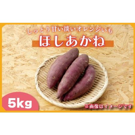 ふるさと納税 BZ-38　2023年度産しっとり甘い淡いオレンジいも　ほしあかね5ｋｇ 茨城県行方市