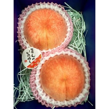 日本 山形縣  白桃 2玉禮盒｜日本水蜜桃禮盒