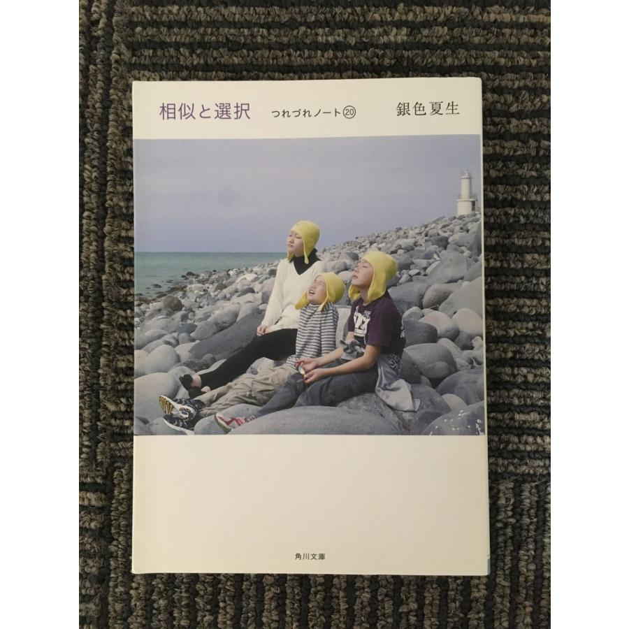 相似と選択 つれづれノート（２０） (角川文庫)   銀色 夏生