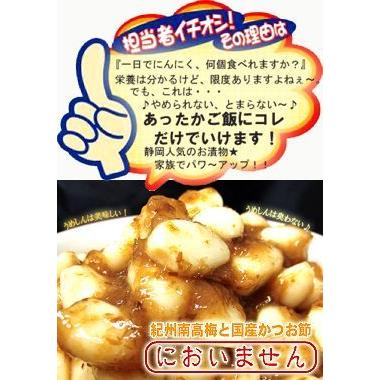 無臭にんにく　梅辰株式会社 静岡市　うめしん梅にんにく200g　100g×2袋