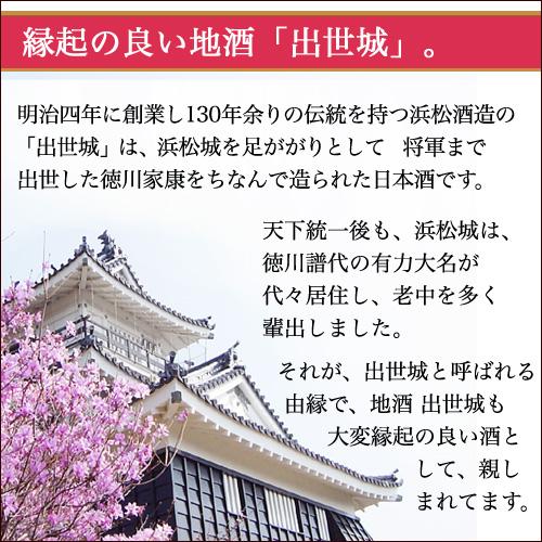 国産うなぎ蒲焼 お酒 浜松地酒 特別純米酒 出世城とわさび塩詰め合わせ 送料無料