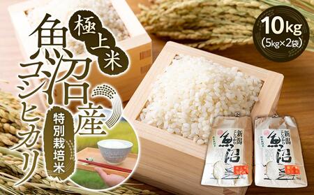 極上米魚沼産コシヒカリ特別栽培米１０kg(５kg×２)
