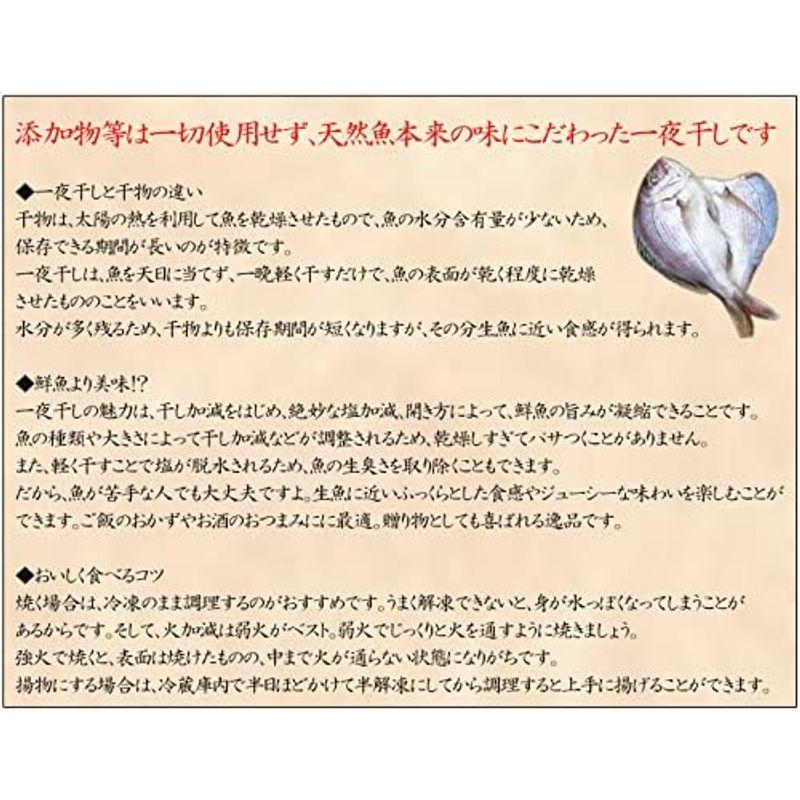 鮮度抜群CAS冷凍品天然魚 宇和海朝獲れ鮮魚の「一夜干し13枚セット」(真鯛1枚、メイタカレイ2枚、アマダイ2枚、カマス3枚、釣アジ3枚、ス