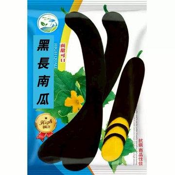 【原廠包裝】南瓜大王（Pumpkin King）26粒裝  黑長南瓜種子 栗子南瓜品種 口感綿密香甜 肉厚籽少 家庭菜園