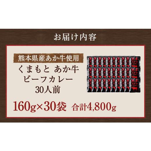 ふるさと納税 熊本県 宇城市 熊本県産あか牛使用 くまもとあか牛 ビーフカレー 30人前 カレー あか牛