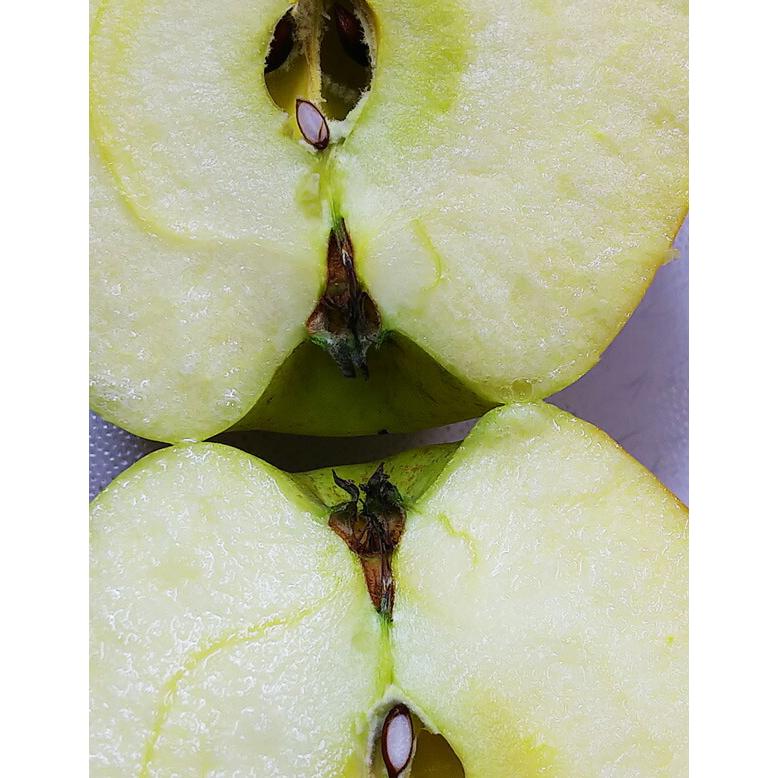 りんご 青森りんご 星の金貨 家庭用 3kg 林檎 青森県産 リンゴ お取り寄せ フルーツ 果物 デザート 通販 自宅用 送料無料　お歳暮