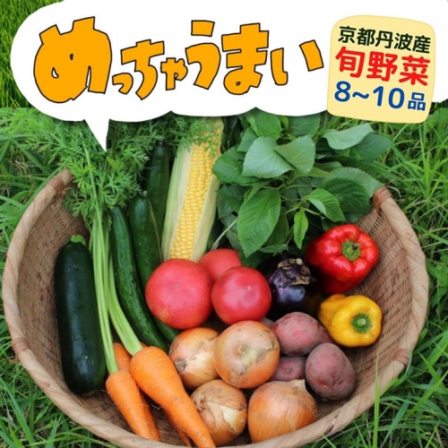 ＜３６９商店＞京都丹波産旬の野菜セット　※全て栽培期間中農薬・化学肥料不使用※