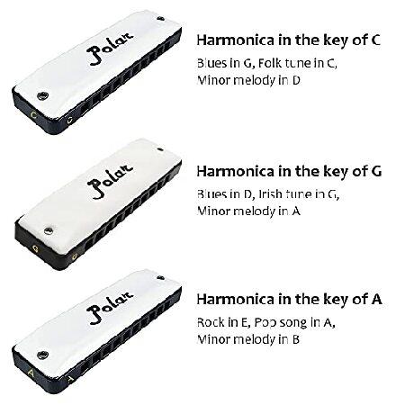 Harmo Polar Harmonica (Set of 3) 10 Holes Professional Blues Mouth Organ Harmonica for Beginner, Adult Mouth Musical Instrument Includes Harmo