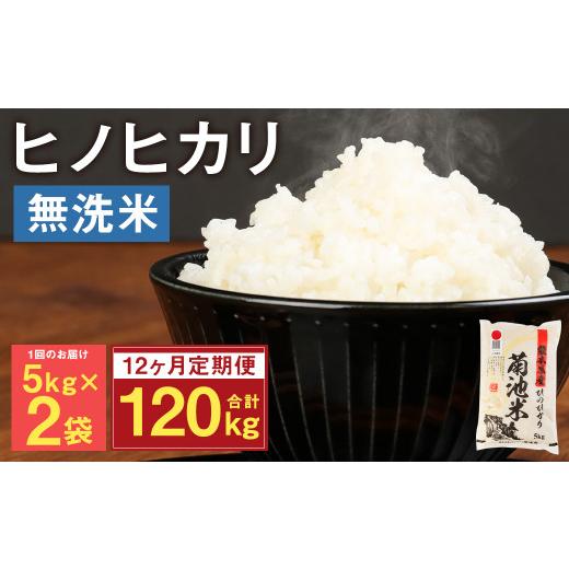 ふるさと納税 熊本県 菊池市 熊本県菊池産 ヒノヒカリ 無洗米 計120kg（5kg×2袋×12回）精米 お米 白米