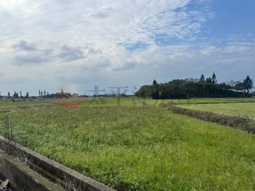 ㊣東福路農地(專約)｜桃園市新屋區三角堀