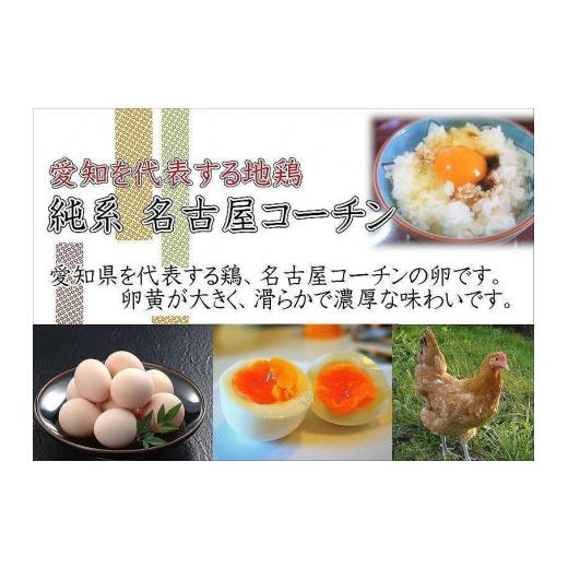 ふるさと納税 愛知県 大府市 日本三大地鶏!! 「純系 名古屋コーチンの卵」（30個）　本当に美味しい食べ物は調味料の味に負けません！