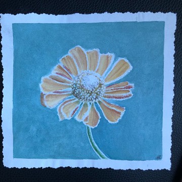 Helenium原創水彩畫花卉現代繪畫牆壁藝術