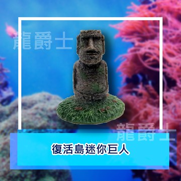 ✨現貨✨[龍爵士水族]復活島迷你巨人 裝飾品 造景 擺飾 飾品 擺件 魚缸造景 魚缸擺飾 魚躲藏  Z19