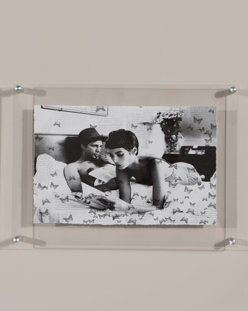 "Butterfly Stories" Print Photography Art in Plexi Frame