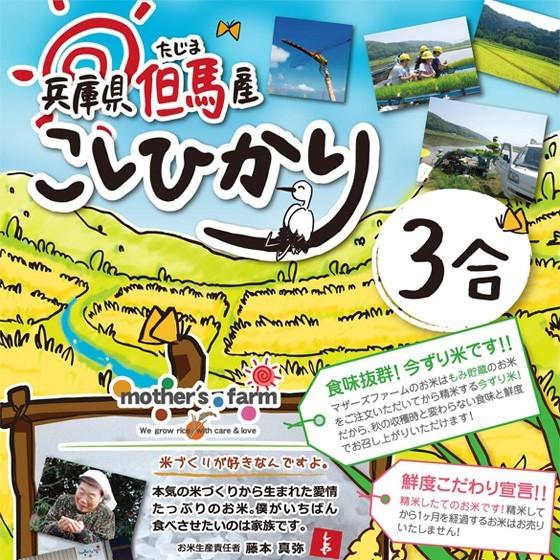 新米 無洗米 3合 コシヒカリ お試し 白米 令和5年産 今ずり米 特別栽培米 送料無料 ポイント消化