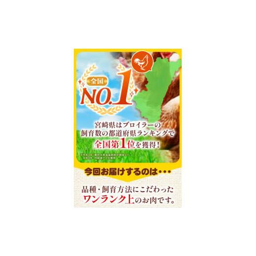 ふるさと納税 宮崎県 五ヶ瀬町 宮崎県産 南国チキン もも・むね 小分け セット 合計 4kg  人気 鶏肉 セット 唐揚げ チキン南蛮 煮物 肉 にく ブロイラー生産…