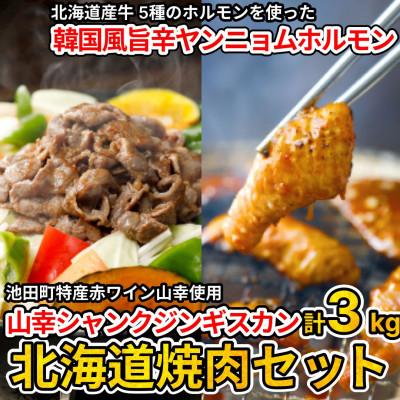 ふるさと納税 池田町 北海道焼肉セット(山幸シャンクジンギスカン・北海道産牛甘辛ヤンニョムMIXホルモン 合計3キロ)