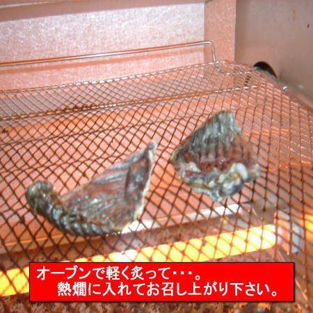 ３年とらふぐ 特大ひれ とらふぐ ひれ酒用10枚入り 若男水産