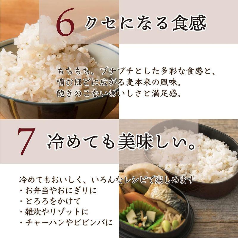 雑穀 麦 国産 麦5種ブレンド(丸麦 押麦 はだか麦 もち麦 はと麦) 1kg(500g×2袋) 一部地域を除く 雑穀米本舗