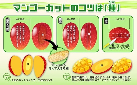 平田果樹園の厳選アップルマンゴー贈答用（約1kg）