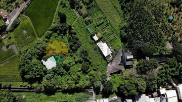 軟橋彩繪村有機生態田｜新竹縣竹東鎮軟橋