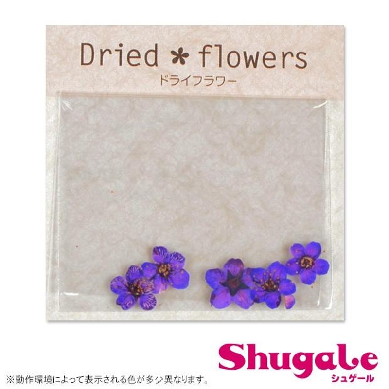 フラワー 押し花 こでまり パープル｜押し花パーツ フラワーパーツ 花パーツ 小花パーツ レジンパーツ パーツ トーカイ LINEショッピング