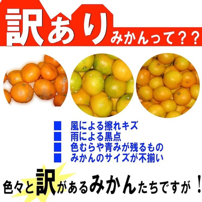 和歌山県産 訳あり みかん ミカン 5kg (傷あり サイズ不揃い ご自宅用)  　＊１０月中旬以降より順次発送