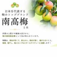 M-3Lのサイズおまかせ！ 訳あり ご家庭用 南高梅 青梅 5kg   梅 梅酒 梅干 青梅 梅ジュース 梅干し 三重県産