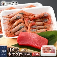 お刺身 セット 甘海老 250g×2P  本まぐろ 中トロ 100g×1P