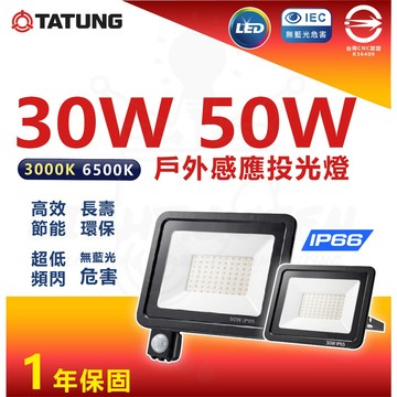 大同 LED 紅外線 感應戶外投光燈 戶外投光燈 投射燈 30W 50W CNS認證全電壓 IP65