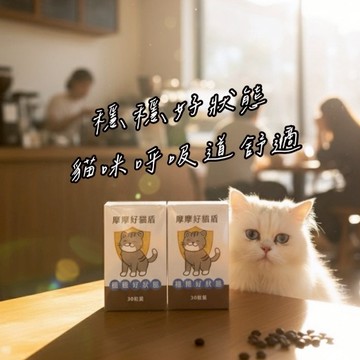 🚚箱購【快速出貨】 摩摩 好貓盾 30粒/盒 免疫力 貓咪 幼貓 老貓 呼吸道 貓保健