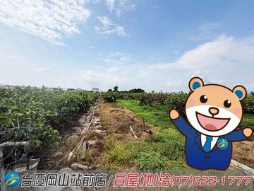 阿蓮段#近市中心#地形方正#都內美農地｜高雄市阿蓮區阿蓮段
