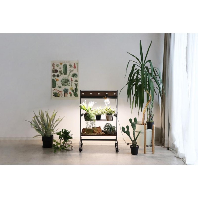 男前インテリア　植物育成棚　多肉植物　ラック　棚　耐水性あり　1002 男前インテリア植物育成棚多肉植物ラック棚耐水性あり1002