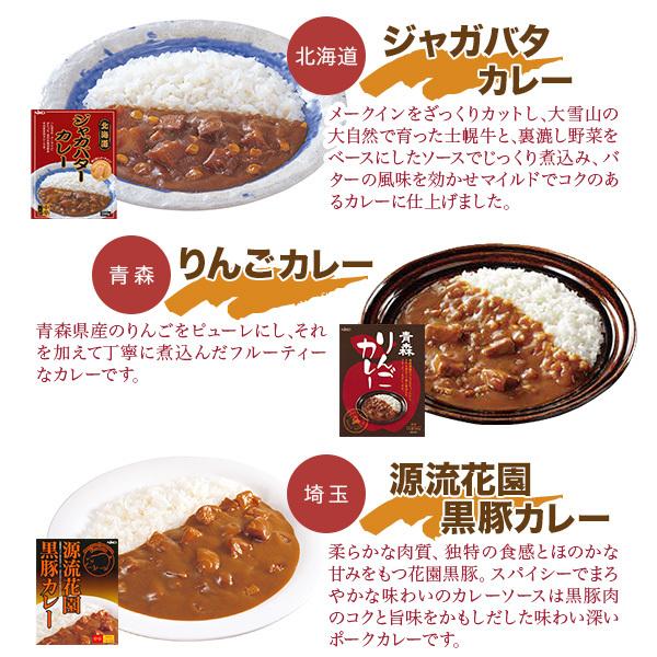 ご当地カレー 詰め合わせ 15種セット