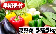 北海道産 あきやまさん家のおすすめ夏野菜5種詰め合わせセット