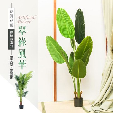 dayneeds 仿真草植-綠植栽系列/翠綠風華(2款可選)